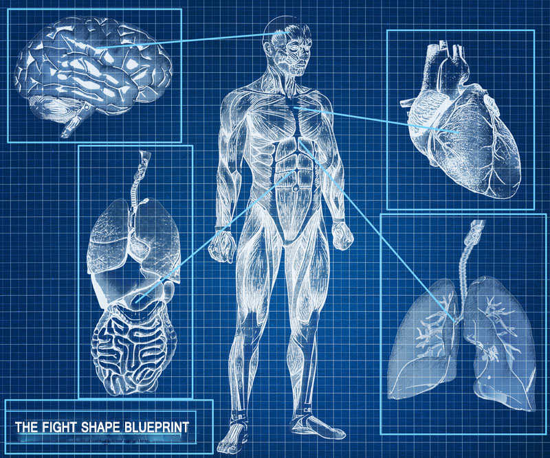 fight-shape-blueprint