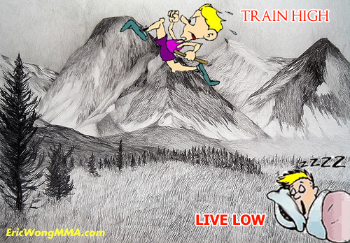 live-low-train-high live low train high at altitude