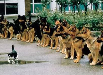 They Myth of WILLPOWER