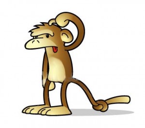 confused-monkey