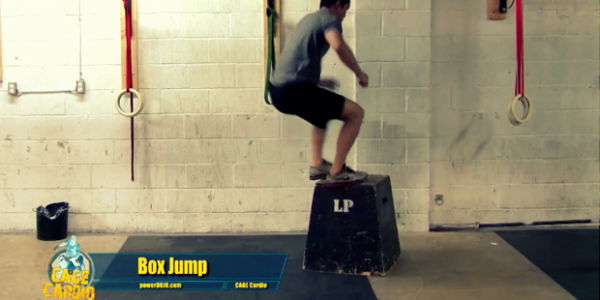 The Box [CAGE Cardio A+L Workout]