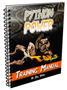 python power