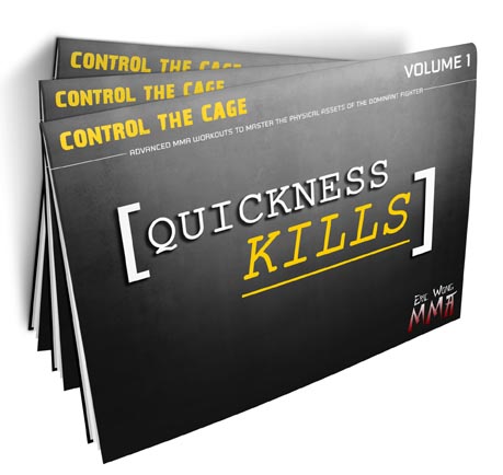 quickness-kills-3d-cover-small