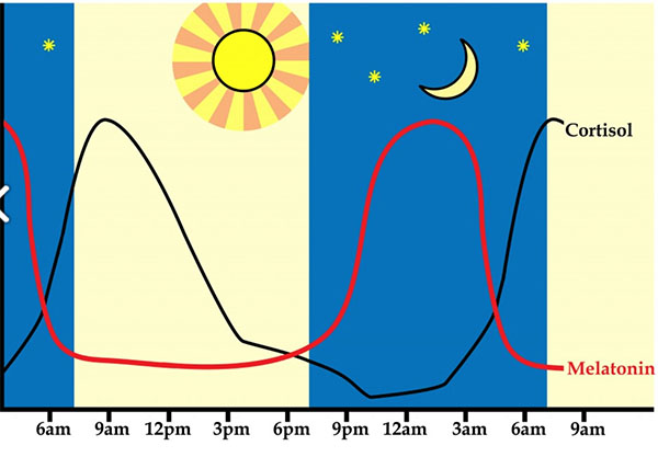 circadian-rhythm