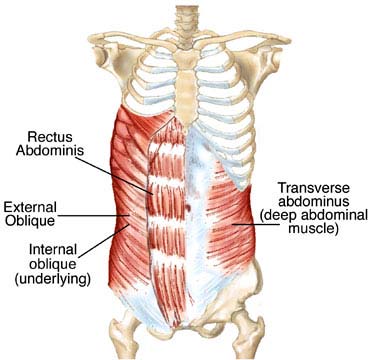 core muscles, bracing the core when you squat