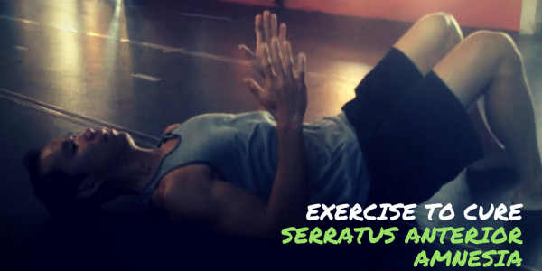 Exercise to Cure Serratus Anterior AMNESIA