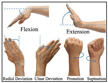 wrist-movements