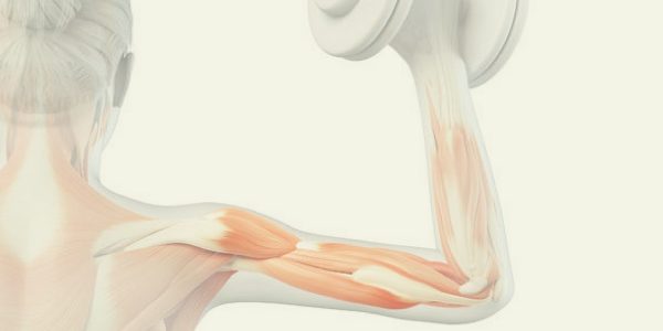 Serratus Anterior Exercises for Healthy Shoulders | Rehab a Strained Rotator Cuff